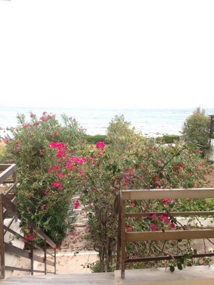 Apartment Yiannis *